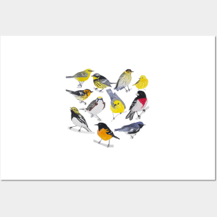 Springtime Birds Posters and Art